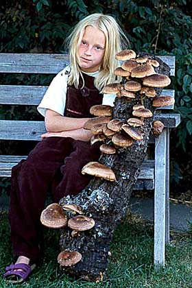 Eliza with Shiitakes © B. Kuznick