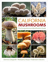 CA Mushrooms